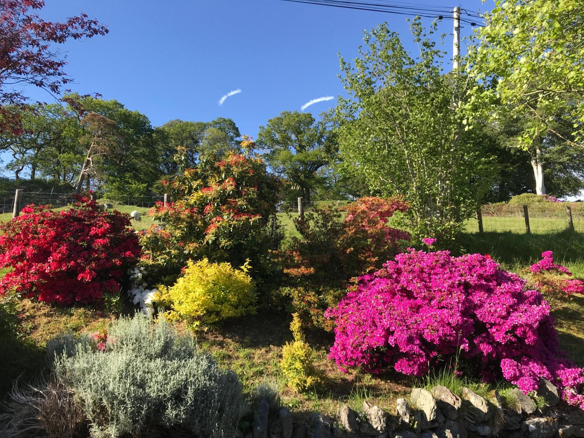 Heulwen Bed & Breakfast 4*